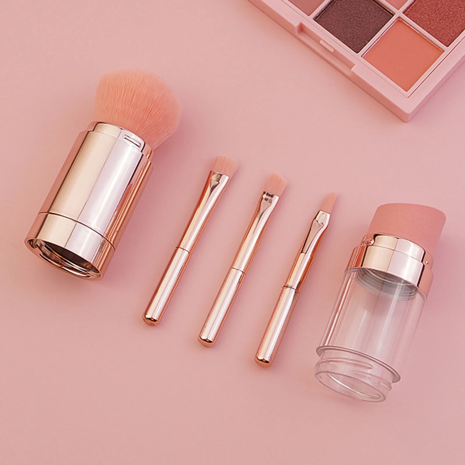 

5 IN 1 Makeup Brushes Suitable For Daily Makeup Portable For Carry Out New Fashion Lady Makeup Tools