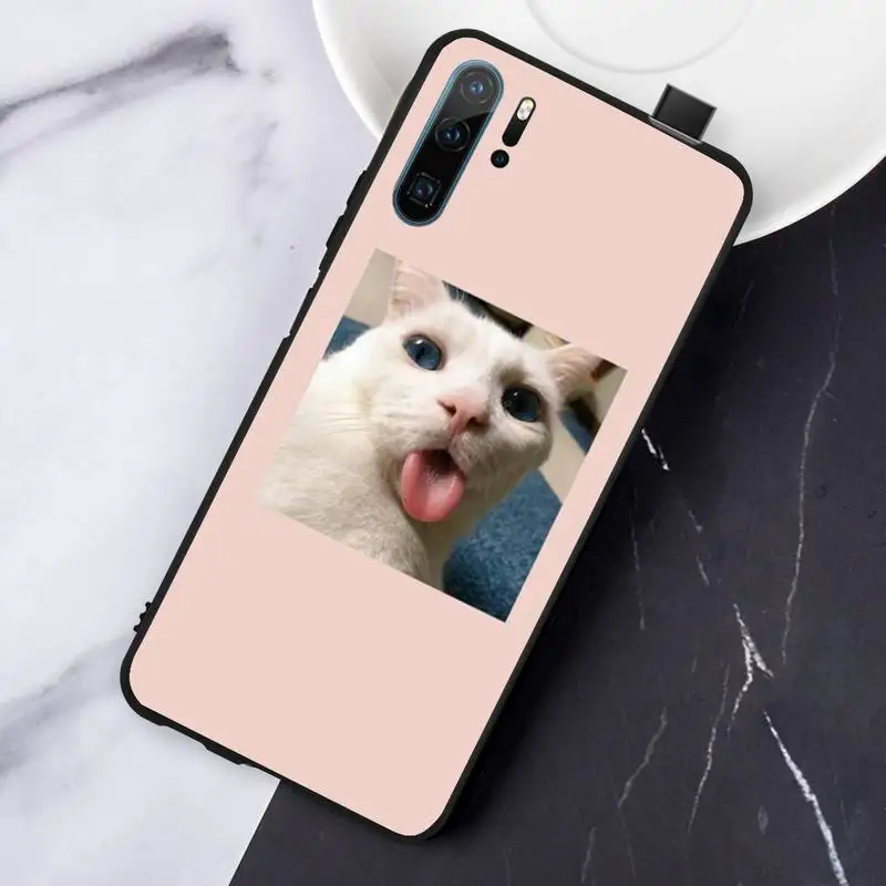 

Super Lovely cute cats photos funda coque cover Phone Case For Huawei honor Mate P 10 20 30 40 Pro 10i 9 10 20 8 x Lite