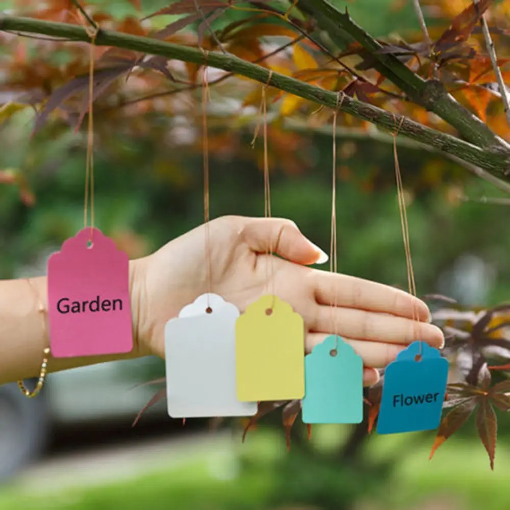 

100PCS T-type Plant Markers Labels Waterproof Tags Garden Labels Seed Nursery Garden Stake Plant Labels Gardening Accessories