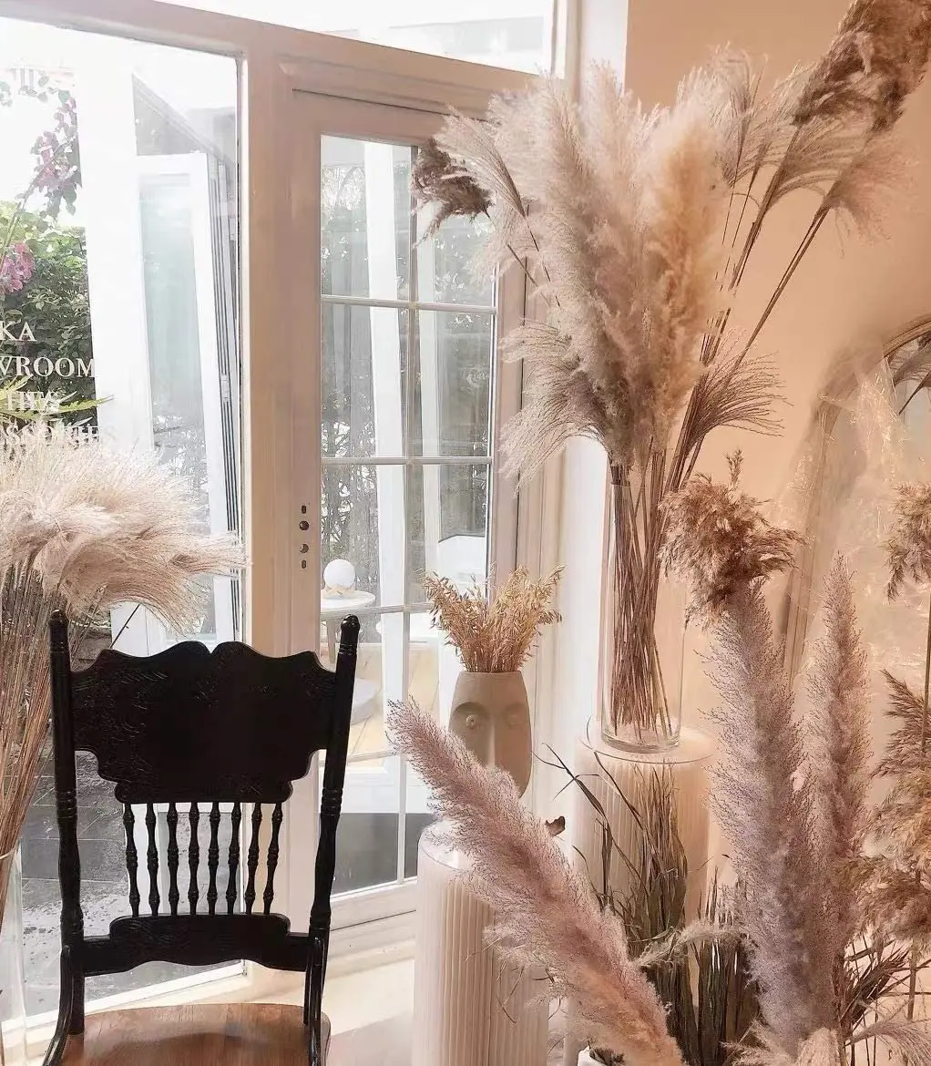 

Home Decoration Artificiales Craft Para Wedding Party Backdrops Plants Pampas Natural Phragmites Paste Grass Dried Flower