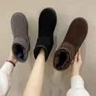 Новинка 2021, классические женские зимние Ботинки, Ботильоны, теплые зимние ботинки, женская обувь, плюшевые ботинки