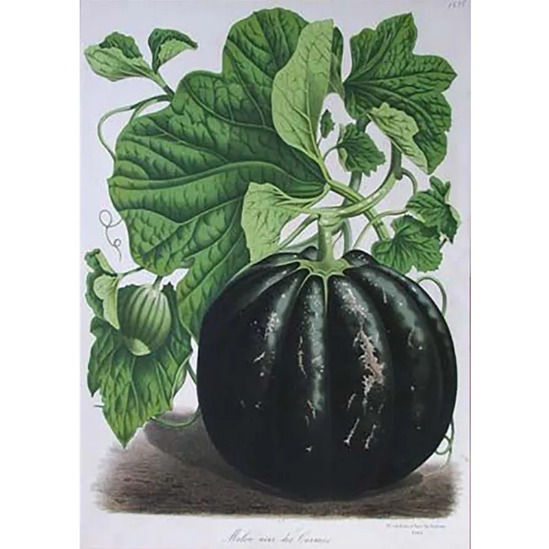 Набор для вышивки крестиком стразы картина с изображением овощей мозаика из