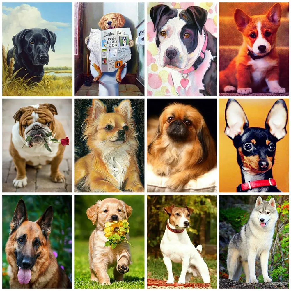 HUACAN Алмазная картина полностью квадратная собака 5D Diy вышивка мозаика Стразы