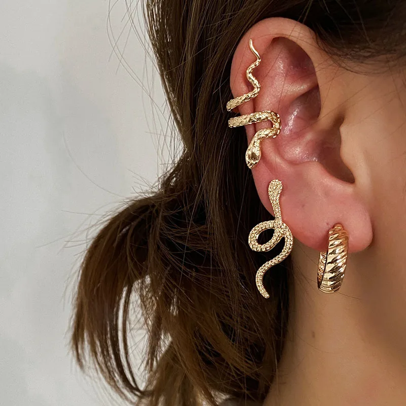 

A New Style Of 2021 Snake-Shaped Earrings Set For Women, A Three-Piece Set Of Hip Hop Earrings For Couples As Gifts