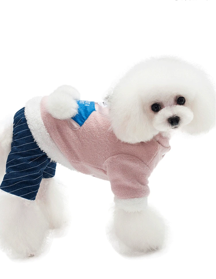 

New autumn and winter pet clothes thickened warm pet clothing cartoon handsome bear four-legged cotton clothes