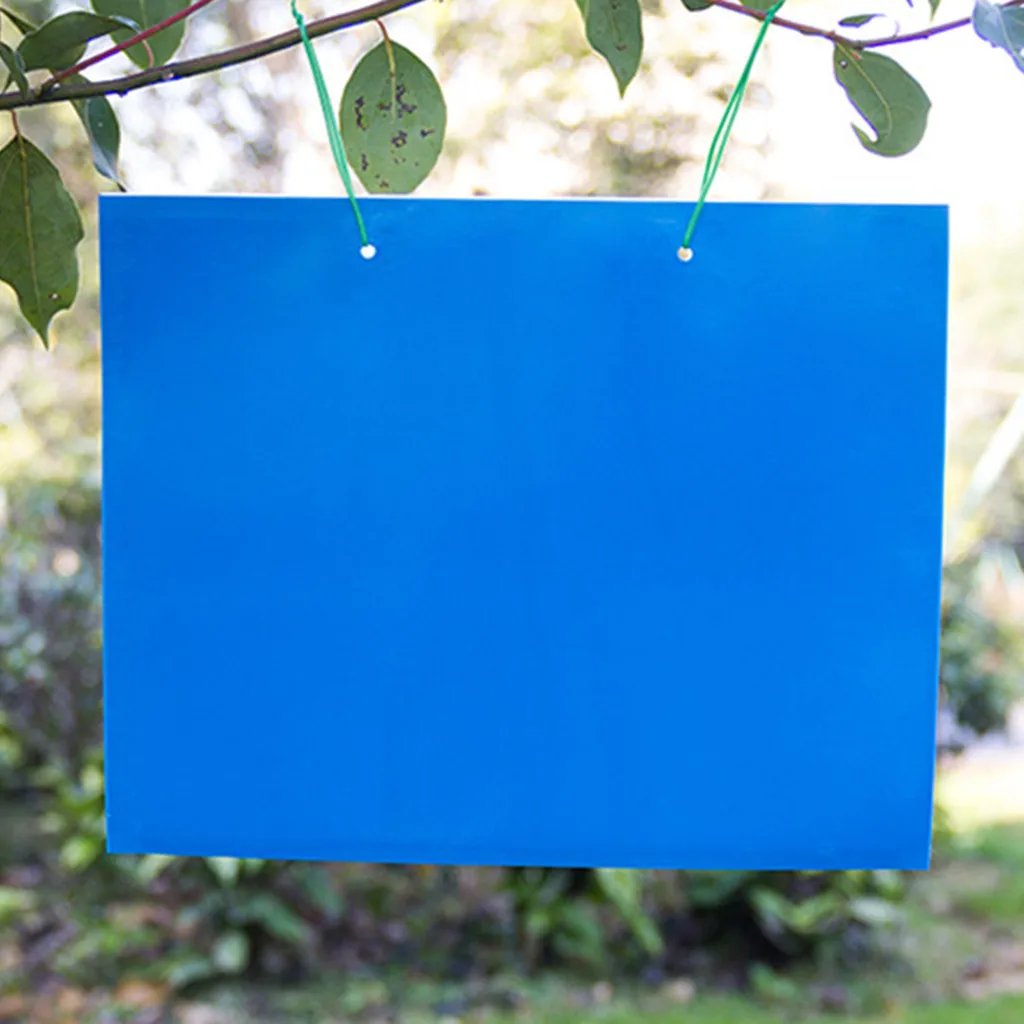 

20pcs Strong Flies Sticky Traps Bugs Sticky Catching Dual-sided Yellow Sticky Traps 20 Sheets For Capture Insects Like Flies