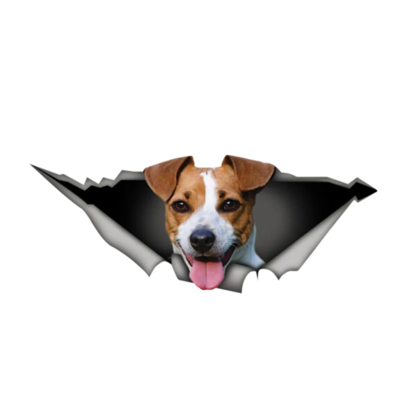 

Vinyl Sticker Reflective Waterproof Car Sticker Walls Skateboards Refrigerators Glass Decorated Stickers Pet Sticker