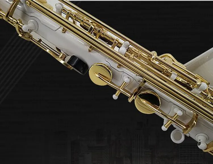 Высококачественный альт саксофон профессиональный E плоский Saxofone Музыкальные инструменты выступления чехол