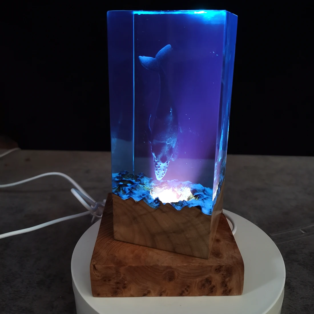 Bestellen 20X12X5cm Kreative Desktop Harz Dekorationen Handwerk Gel Whale LED Nacht Licht Modell Handwerk Ornamente Büro Wohnzimmer
