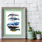 Печать рыбы и плакат киты акварельные стены Искусство Холст Живопись иллюстрация настенные картины для детской комнаты для детей