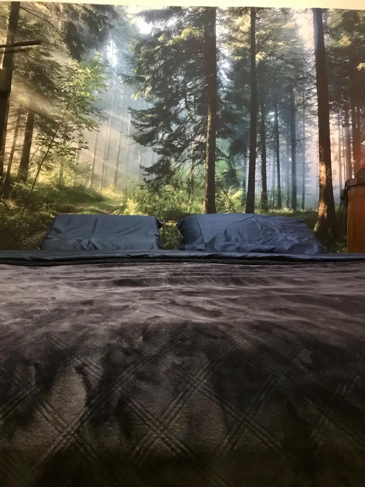 3D Туманный лес гобелен настенный подвесной Восход дерево Природный Пейзаж