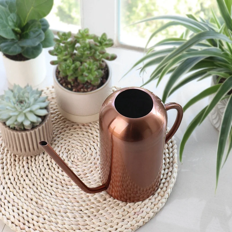 

Stainless Steel Watering Can for Indoor Plants and Garden, Watering Pot 53Oz,Long Spout Watering Can