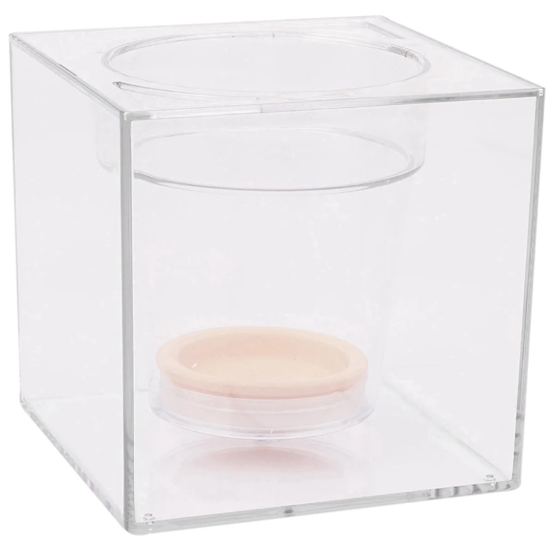 

Luxury Replacement Stainless Steel Watch Band Strap with 5Inch Transparent Self Watering Pot