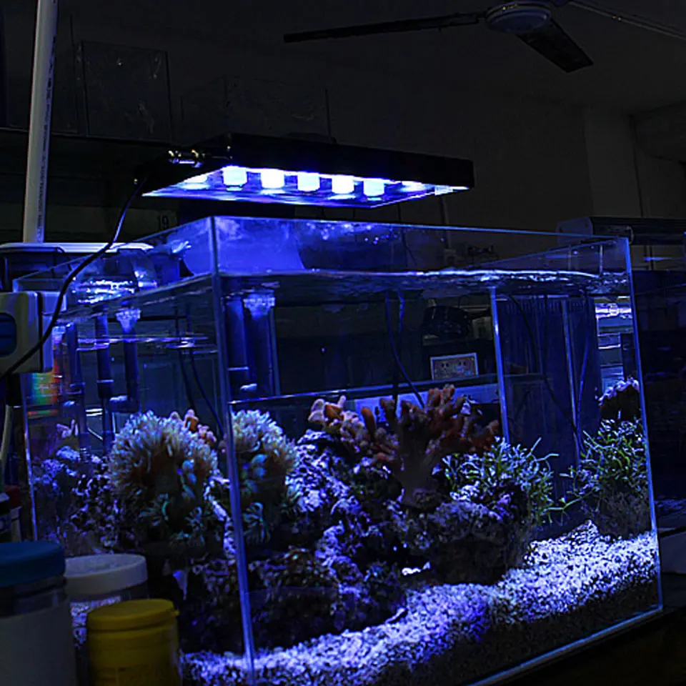 LED PCB 7/8/9/11leds aluminum plate 1W 3W 5W high Power Doide install lamp Board For W22 Aquarium Tube Grow light DIY | Лампы и