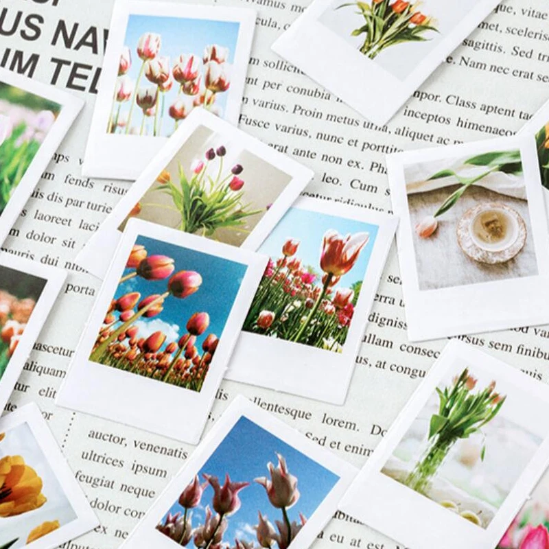 

46Pcs/box Green Plant Stickers Cute Stickers Diary Stickers Scrapbooking Notebooks Stickers
