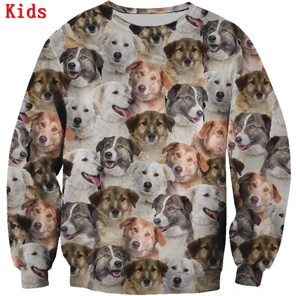 You Will Have A Bunch Of Abyssinian Cats 3d printed Hoodies Boy Girl Long Sleeve Shirts Kids Funny Animal Sweatshirt