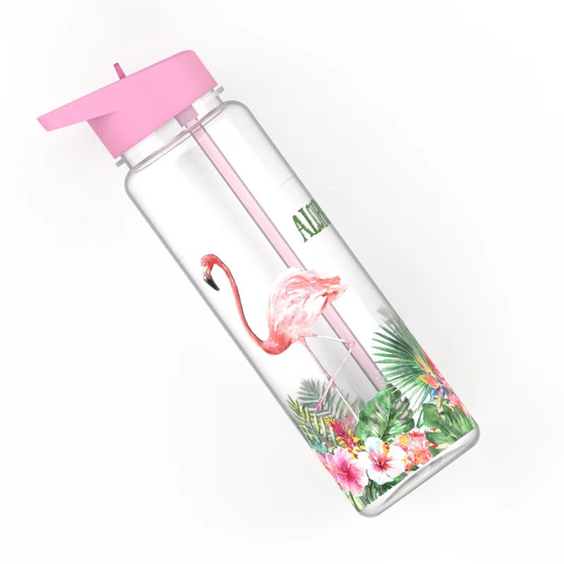 750ml/25oz 100% Тритан Спорт на открытом воздухе соломы бутылка для воды с фламинго и