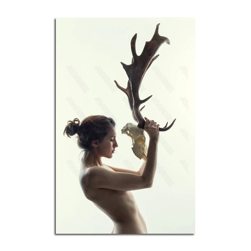 

European Style Canvas Material Slender Figure Sexy Beauty Model Art Photo Background Poster 1 Pc and Living Room Wall Art Deco