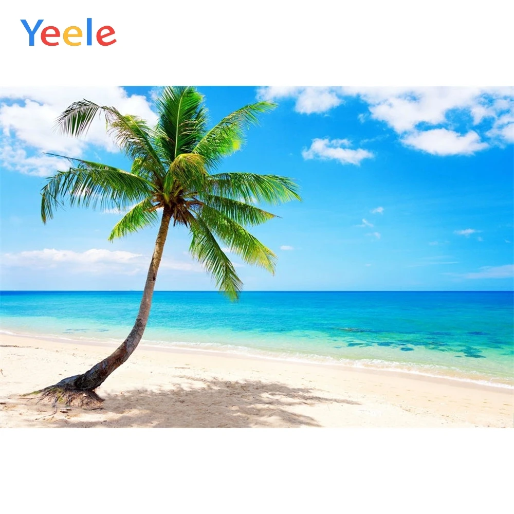 Летний Приморская ладонь дерево небо природный пейзаж фотографический фон