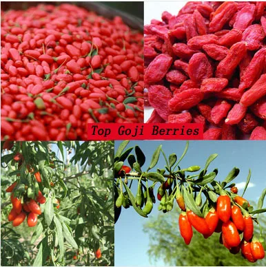 BY Promotion 250g Dried Goji Tea Berry Gouqi Cha Herbal Pure Bulk Bag Green Food | Дом и сад