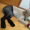 Изображение товара 2