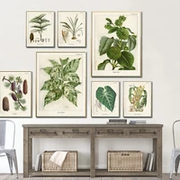 vintage wild plant poster botanical flower study poster living room canvas painting anatomy picture aesthetic home decor