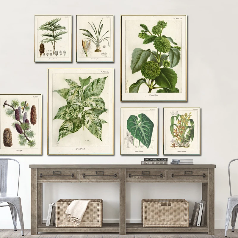 ВИНТАЖНЫЙ ПЛАКАТ с дикими растениями постер ботаническими цветами для обучения