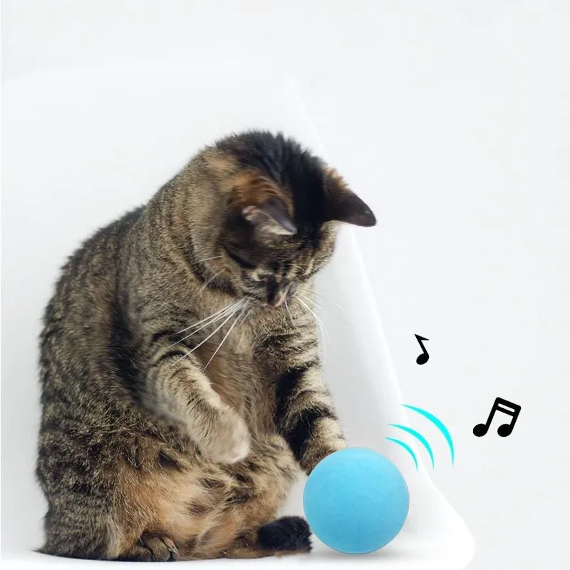 Умная игрушка для кошек интерактивный мяч кошачья мята тренировочная питомца