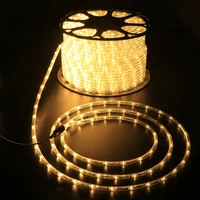 102030100m led strip lights power rope outdoor waterproof for garlands wedding christmas holiday decoration lamps 220v d14