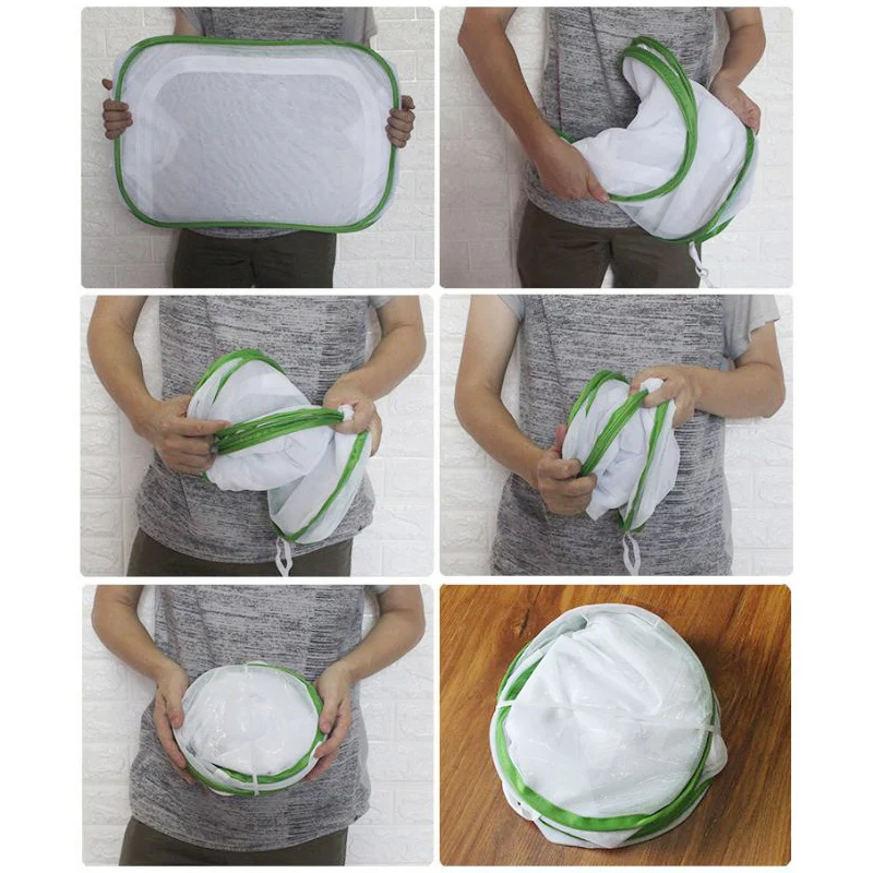 Набор для насекомых бабочек оригинальный набор обучения естественным наукам