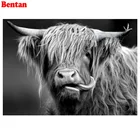 Алмазная 5d картина сделай сам Highland Cow, квадратная Алмазная вышивка, полная круглая мозаика из страз, картина-пазл с черными и белыми животными