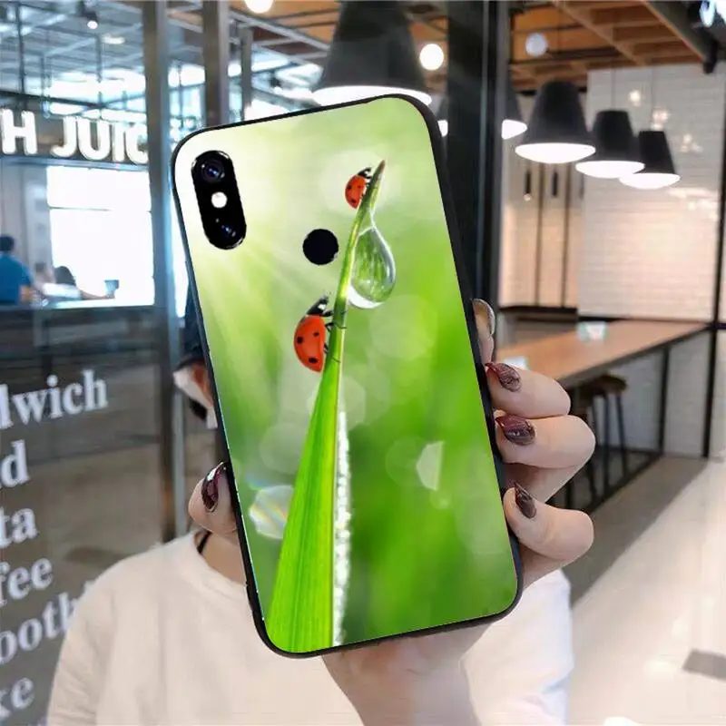 

four leaf ladybug daisy Phone Case For Xiaomi Redmi 7 8 9t 9se k20 mi8 max3 lite 9 note 9s 10 pro