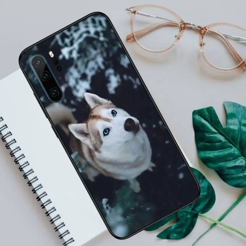 

cute dog Husky Phone Case For Huawei honor Mate P 9 10 20 30 40 Pro 10i 7 8 a x Lite nova 5t