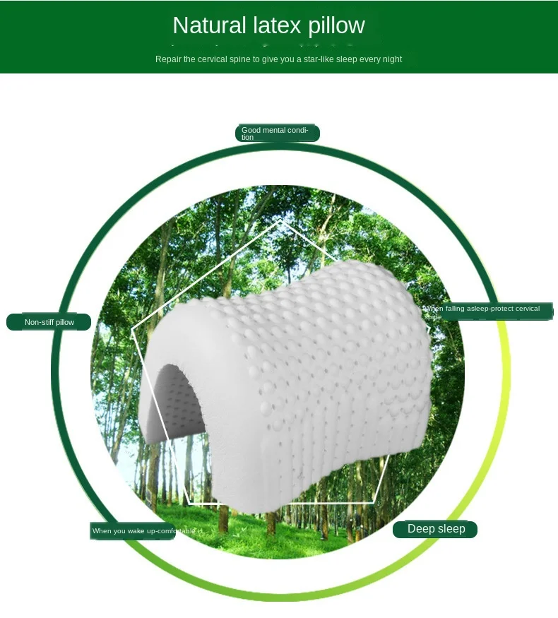 

Thai Latex Pillow Adult Single Neck Protection Wolf Teeth Big Particle Massage Pillow Family School Hotel General Type Bedding