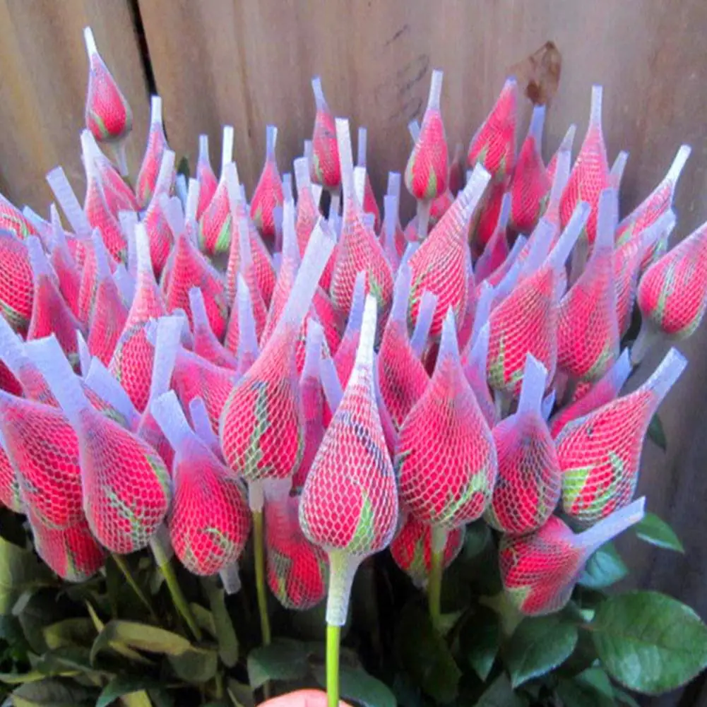 Набор белых кистей для макияжа 100 шт. защитный чехол в виде Розы форме