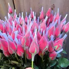 Набор белых кистей для макияжа, 100 шт., защитный чехол в виде Розы, в форме бутона, для хранения, сетчатая кисть-футляр, набор кистей с сеткой для защиты от спутывания