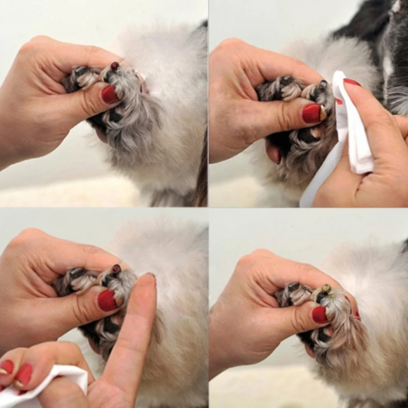 

14g/bottle Styptic Powder Safe For Dogs And Cats Blood Stopper Puppy Home Profession Aids Supplies