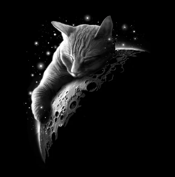 

Cool Design MOONCAT T-Shirt. Summer Cotton Short Sleeve O-Neck Mens T Shirt New S-3XL