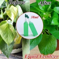 38ml hydroponic plant nutrient solution fertilizer bamboo flower fertilizer potted green concentrated foliar seed fertilizer