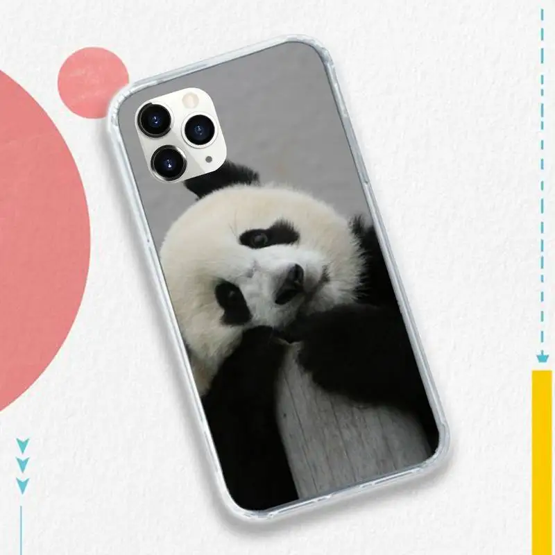 

Panda Cute animals Phone Case Transparent soft For iphone 5 5s 5c se 6 6s 7 8 11 12 plus mini x xs xr pro max