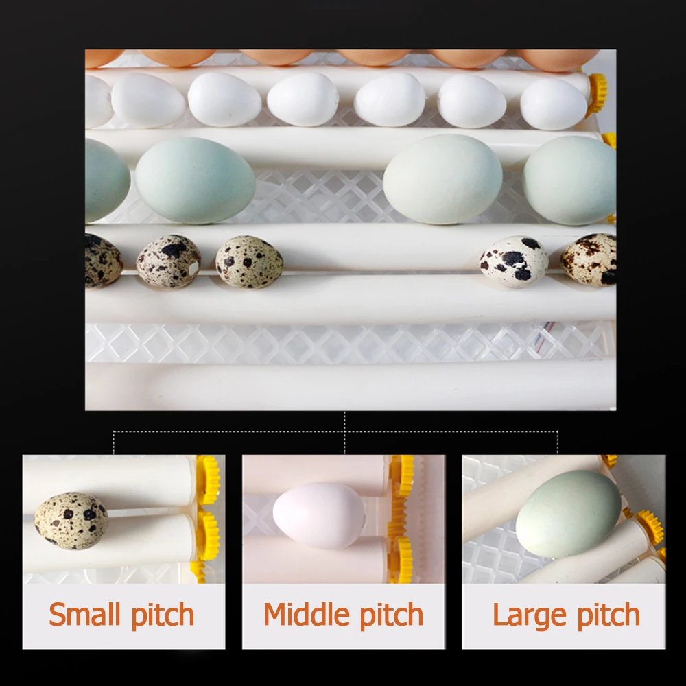 

Eggs Incubator 16 Eggs Digita Mini Automatie Incubatores with Turner for Hatching Turkey Goose Quail Chicken Eggs Hatcher