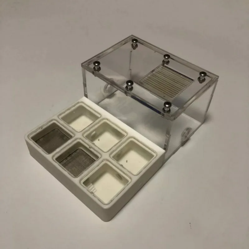 Плоское гнездо муравьиный холл 3D Муравьиное плоское муравьиная ферма дом на