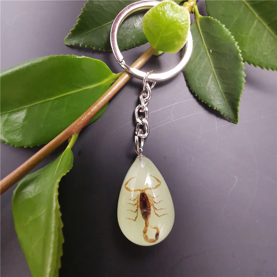 10pcs Scorpion Crab Keychain Glow in the Dark Real Insect Keychain Beetle Keychains for MenKey Ring Specimens Collecting Trinket - Цвет: 12-1YK