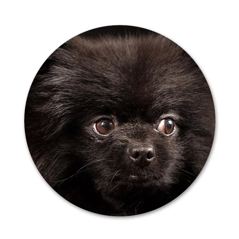 Своего померанского шпица значок с собакой брошь заколка аксессуары для одежды