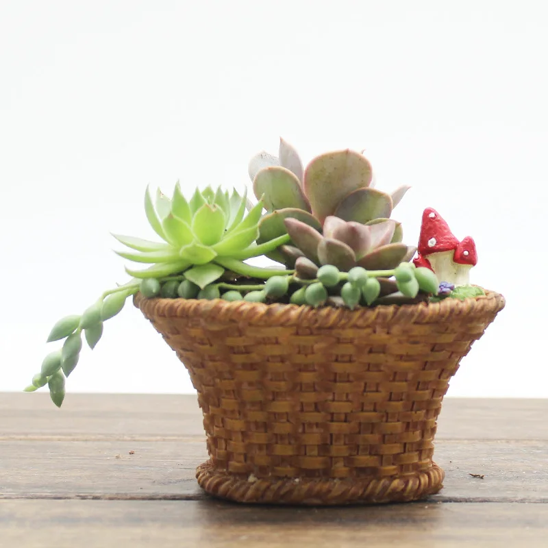 Креативный многомясовый бамбуковый горшок с ананасом Лесным Орехом для