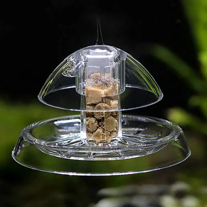 Ловушка для улитки аквариума аквариум растений пластиковая прозрачная ловушка