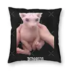 Bingus, чехол с рисунком в виде кошки, искусственная Подушка, Обложка для тела, 50x50
