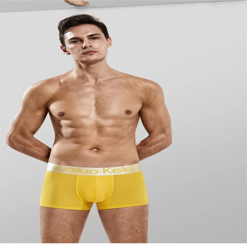 New Men's Stretch Modal Multicolor Boxer Shorts Men's Underwear Breathable Lingerie Men Personality Boxer Tangas шорты мужские