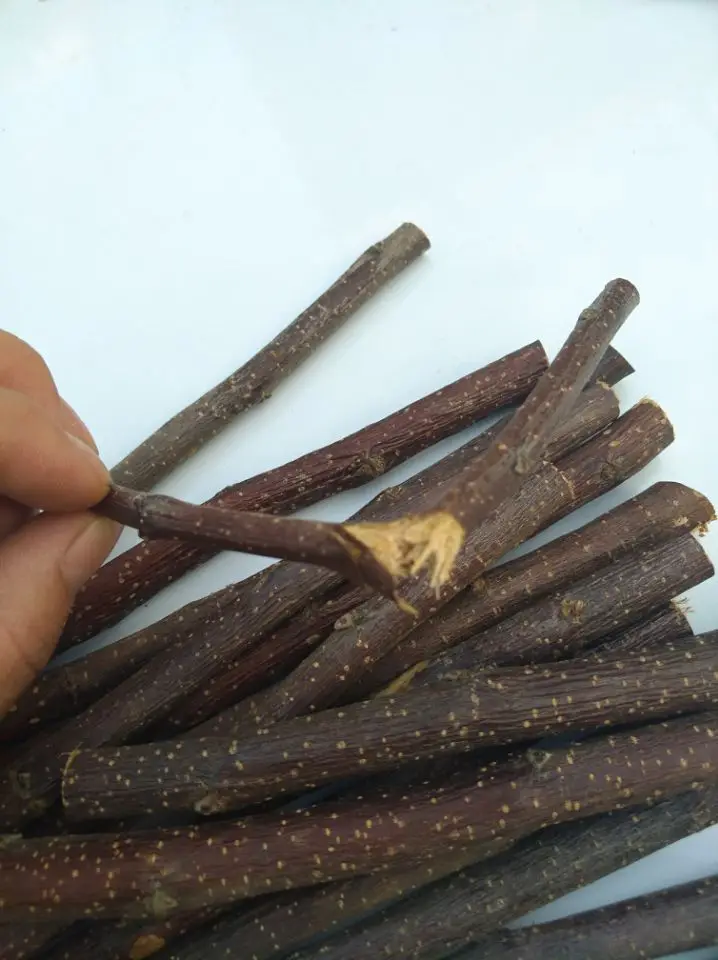 50 г/компл. кролик Шиншилла морская свинка белка укус молярная apple птичка на ветке