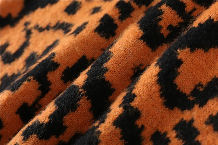 Streetwear Leopard Print Sweater Women 2019 Autumn Winter Fashion Long Sleeve Befree Knitted Sweaters and Pullovers For Ladies | Женская